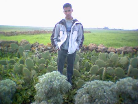 le3roubiya
