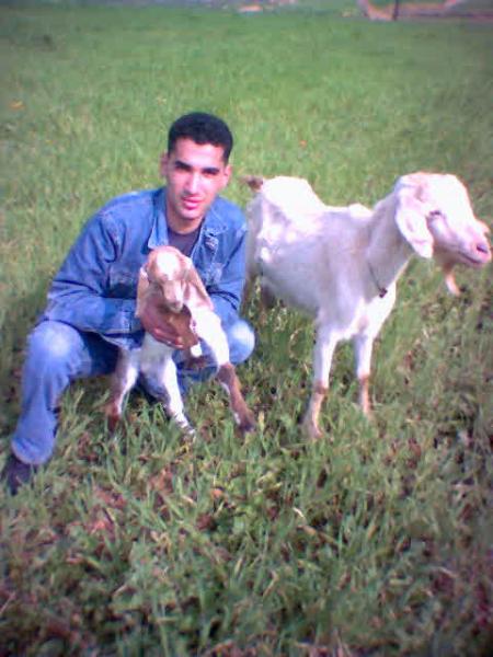 le3roubiya