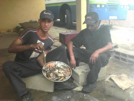 les poisson mechwi