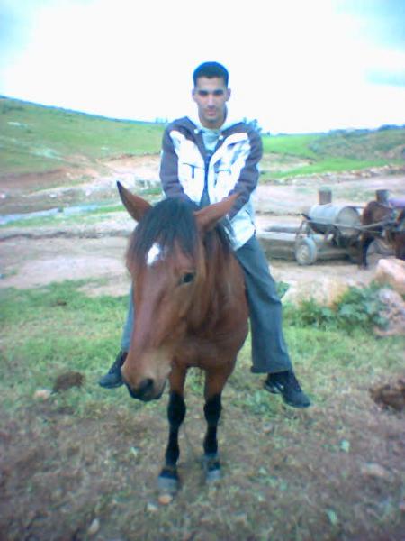 le3roubiya